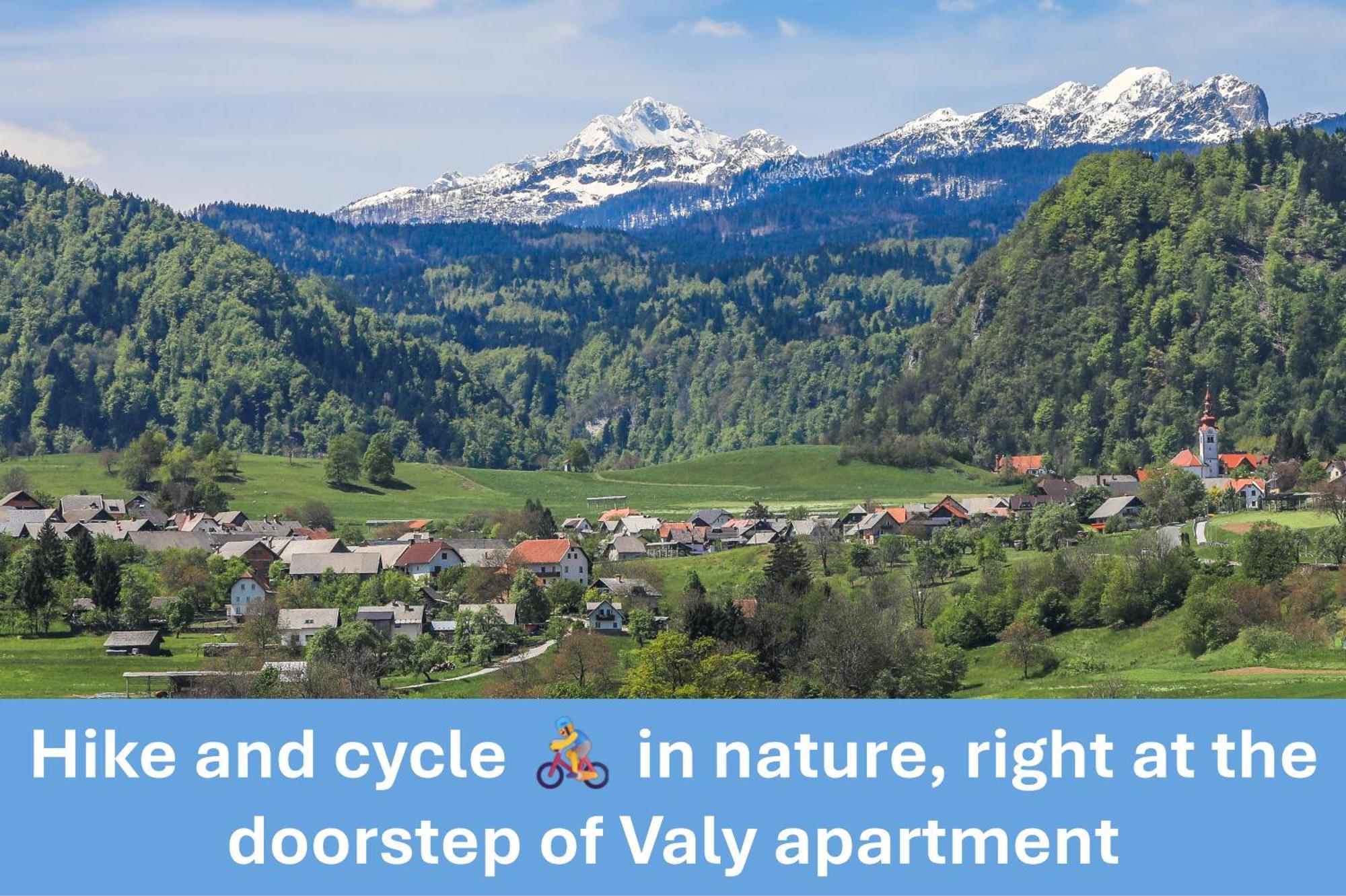 Apartment Valy - Free Bikes, Relaxing Terrace & Near Bled Zewnętrze zdjęcie